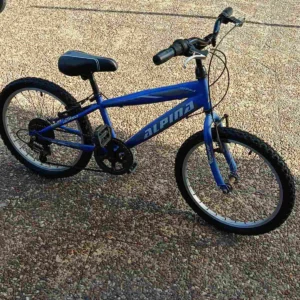 20” Alpina Mountain Bike – 7 Ταχύτητες