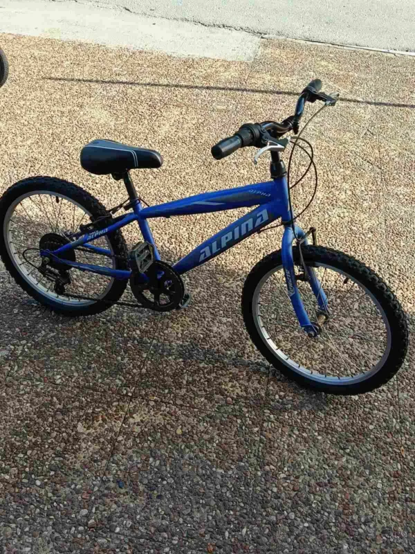 bike_07 20” Alpina Mountain Bike – 7 Ταχύτητες