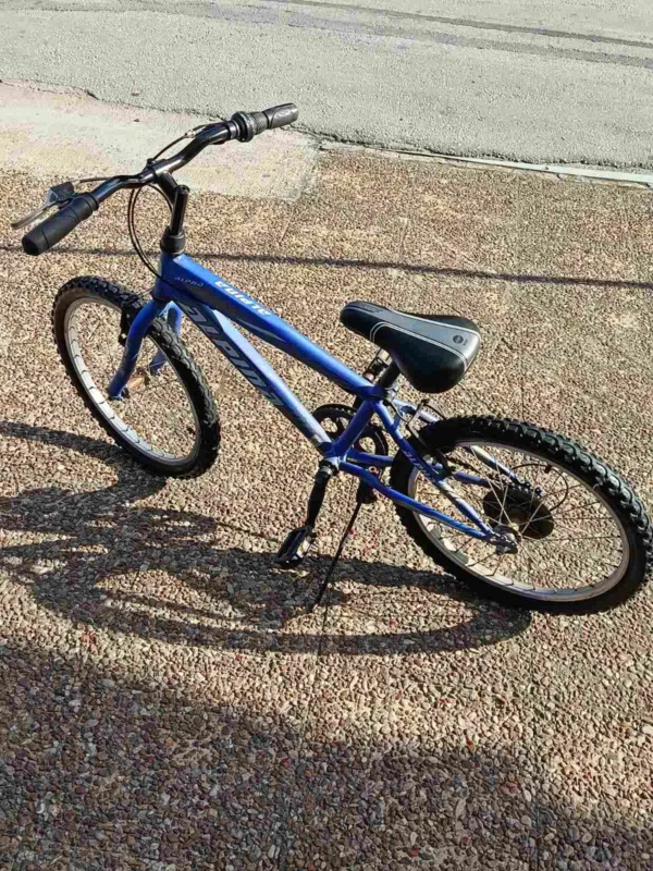 bike_08 20” Alpina Mountain Bike – 7 Ταχύτητες
