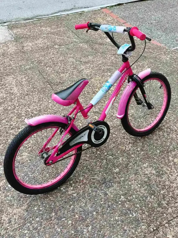 bike_03 Παιδικό Ποδήλατο Orient Tiger 20"