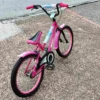 bike_04 Παιδικό Ποδήλατο Orient Tiger 20"