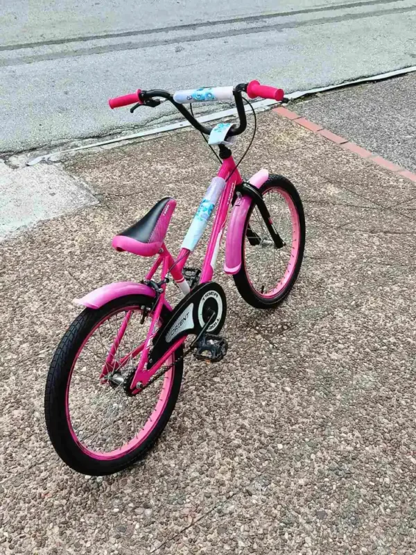 bike_04 Παιδικό Ποδήλατο Orient Tiger 20"