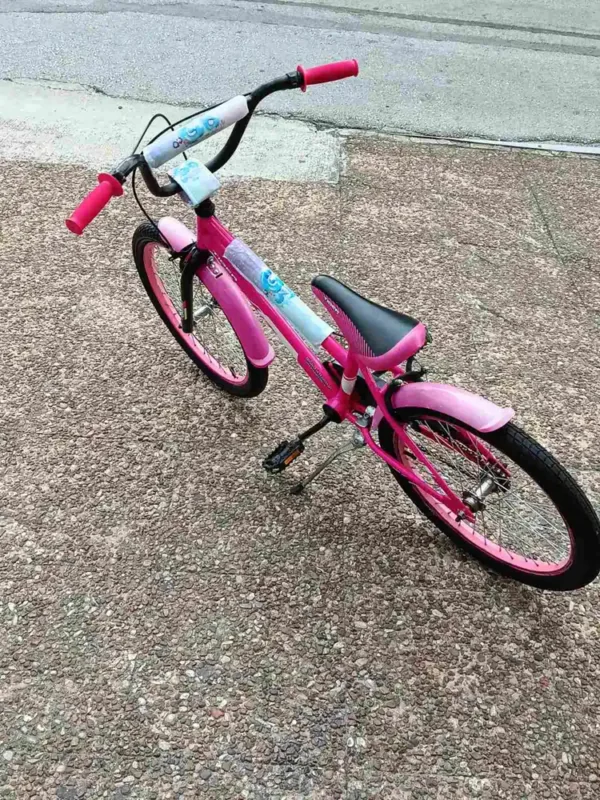 bike_05 Παιδικό Ποδήλατο Orient Tiger 20"