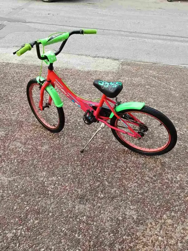 bike_06 Παιδικό Ποδήλατο Orient Terry 20"