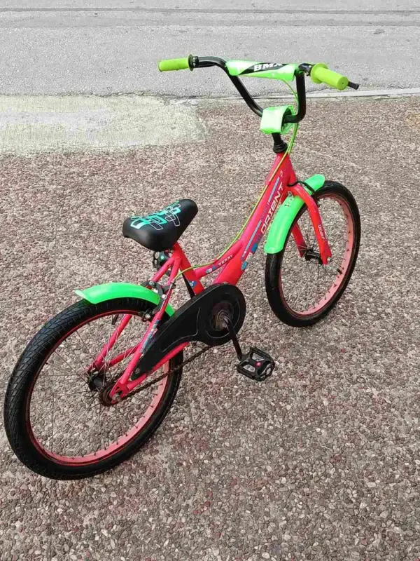 bike_09 Παιδικό Ποδήλατο Orient Terry 20"