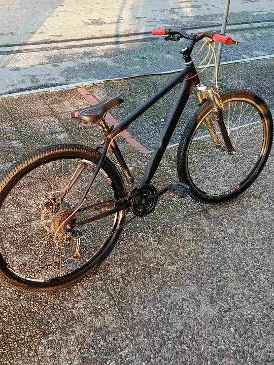 Ποδήλατο Mountain Bike MTB 29″ – 21 Ταχύτητες Shimano